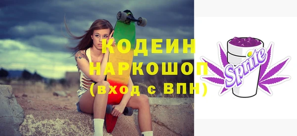 2c-b Горно-Алтайск