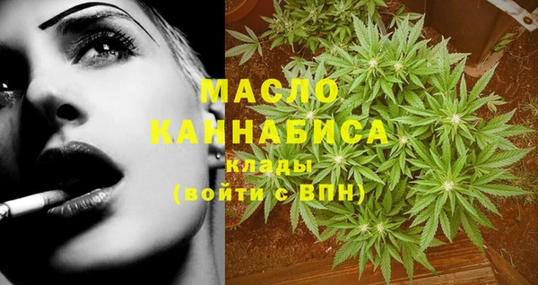 2c-b Горно-Алтайск