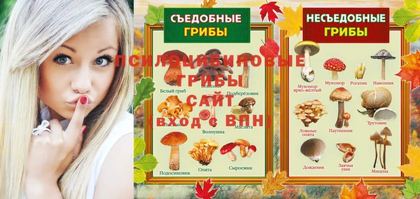 2c-b Горно-Алтайск